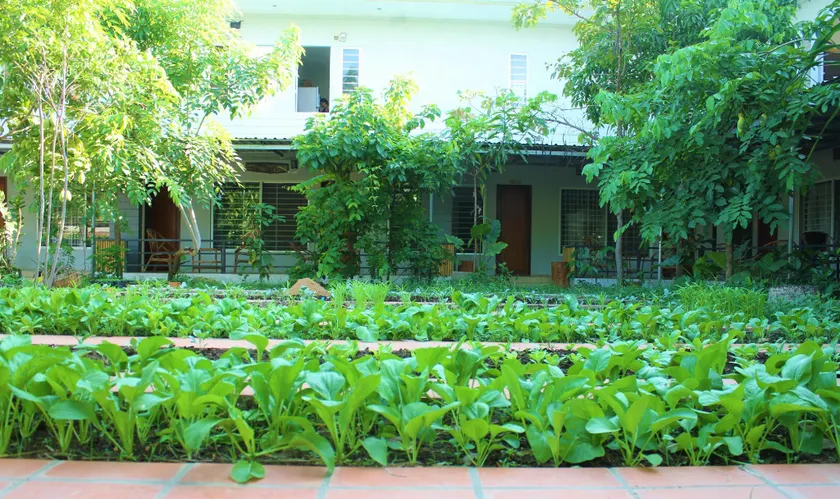 My Parents Guesthouse - Image 1