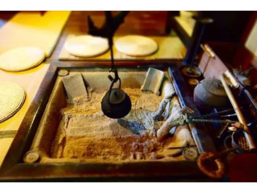 Inn forest seeds - Image 1