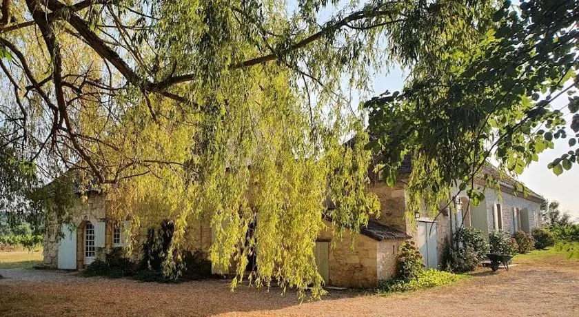 Clair de Vigne - Image 1