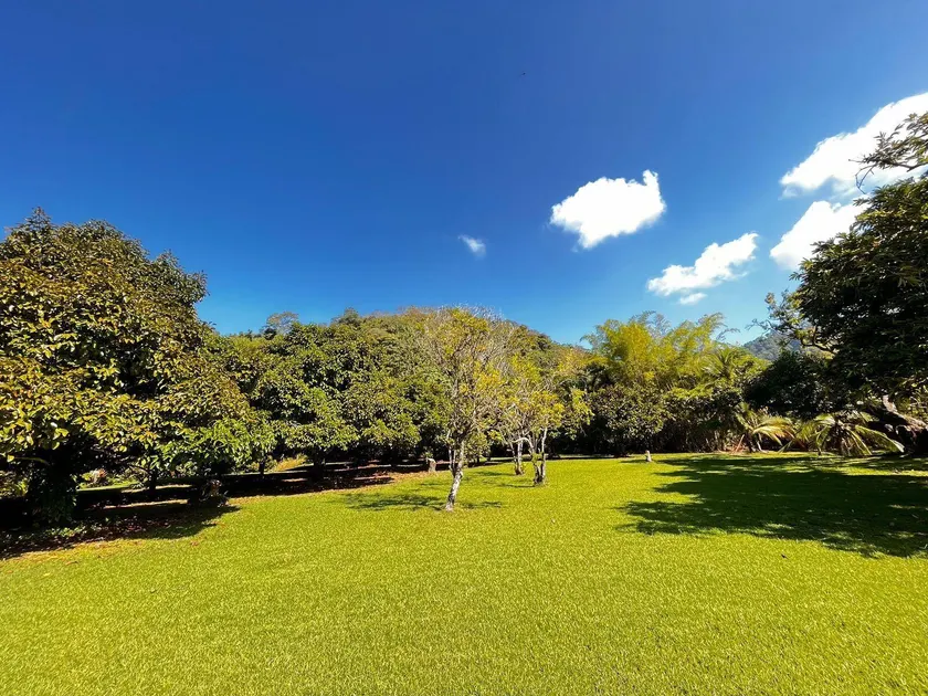 Casa Mangostan - Image 1