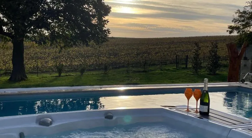 Best view, pool and spa on the Champagne vineyard - Image 1