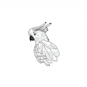Hiddenwoods - Image 1