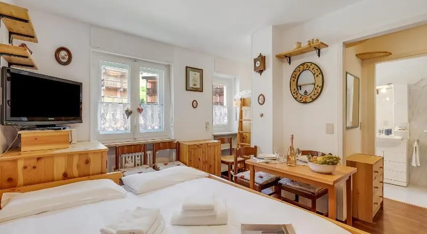 Hermitage Studio - close to ski pistes - Happy Rentals - Image 1