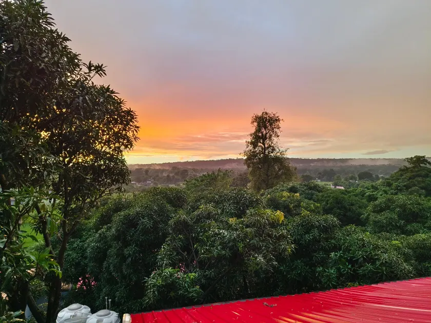 The TreePie Corbett - Image 1