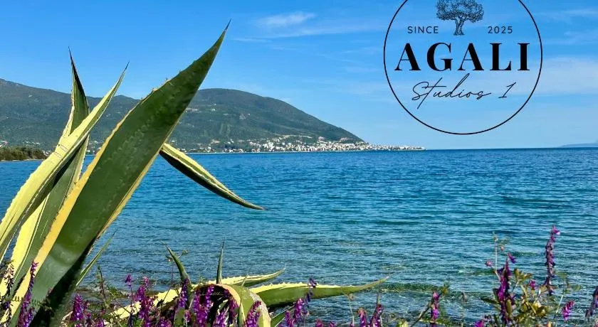 Agali Studios 1 - Image 1