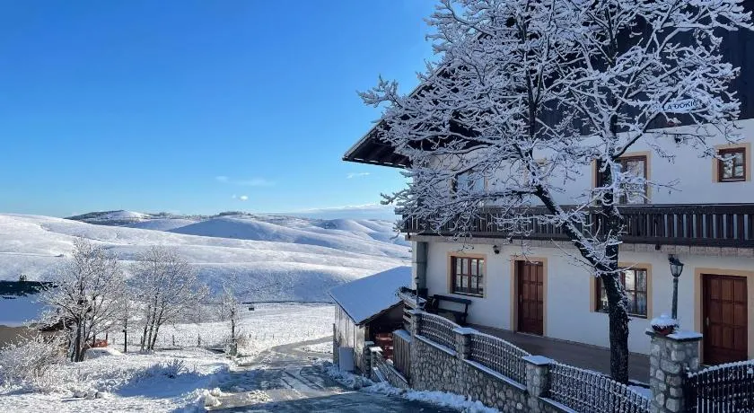 Guest House Vila Djokic - Image 1