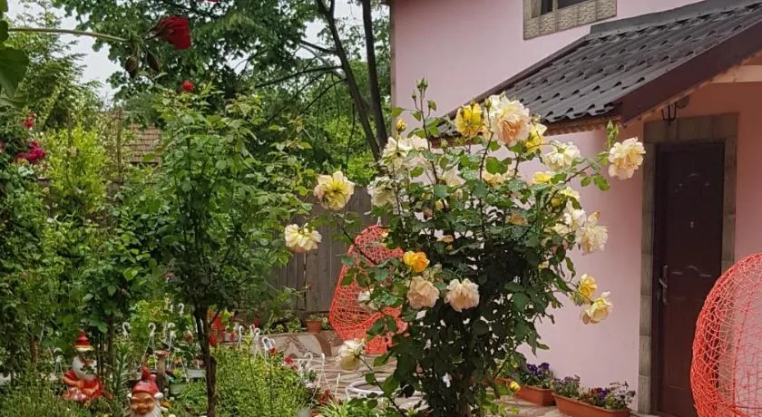 Pensiunea Happy Flowers - Image 1