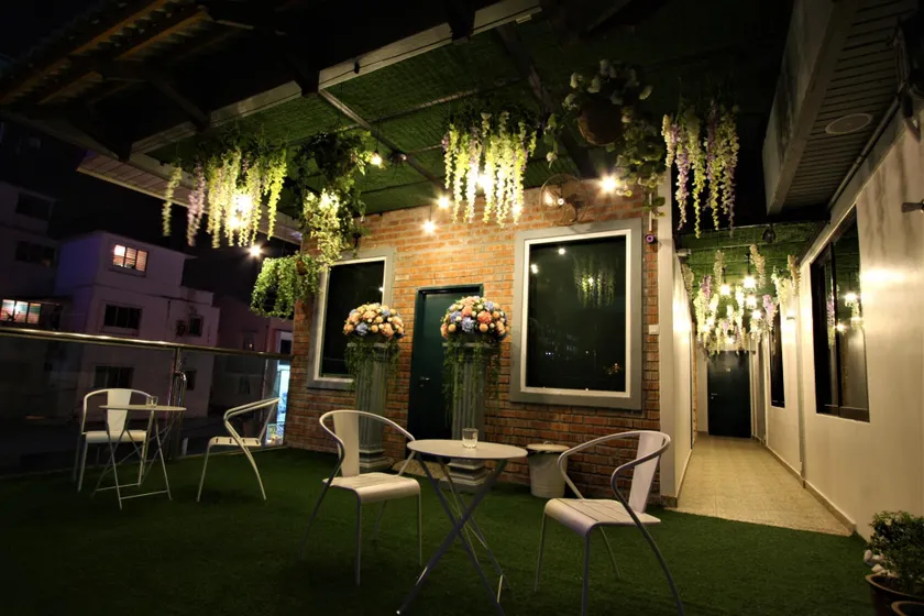 Shamrock Garden - Image 1