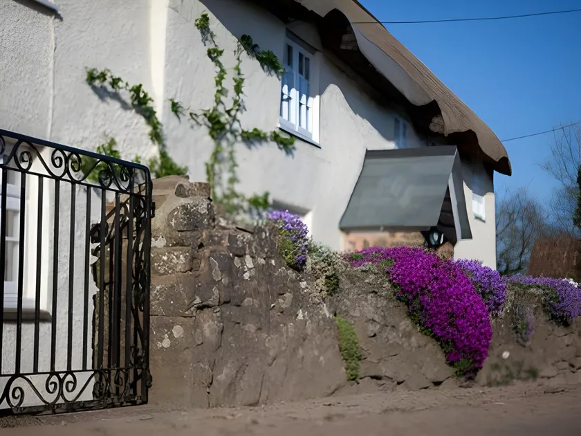 Fernside Bed and Breakfast - Image 1