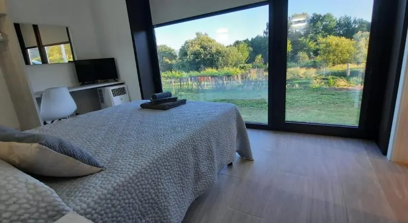 Guest House Clarevar (Pensión *) - Image 1