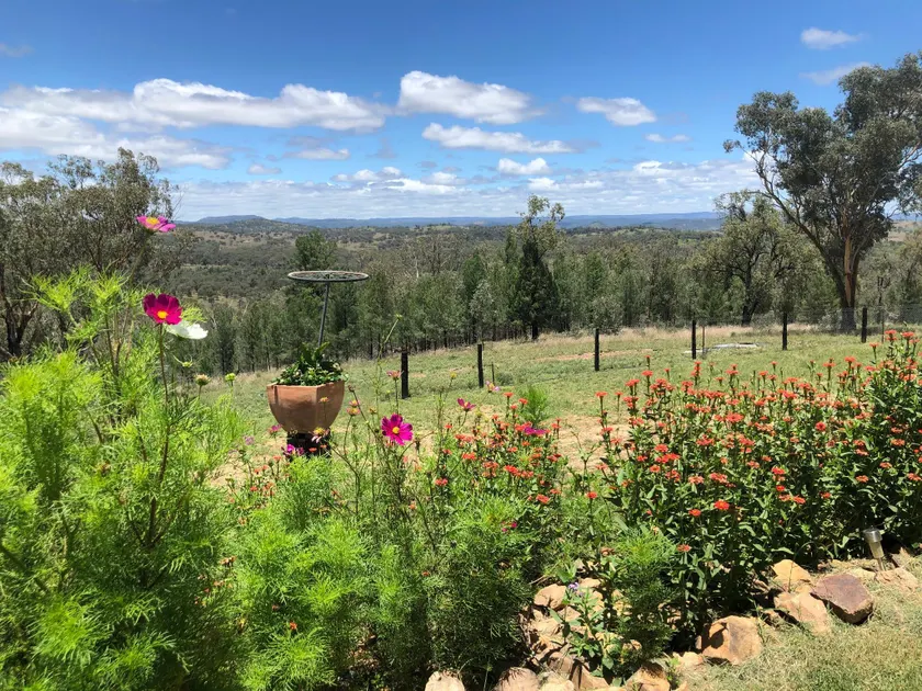 Bush  getaway - Image 1