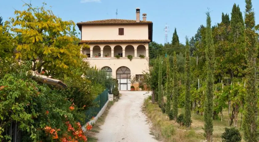 Ai Sei Archi - Image 1