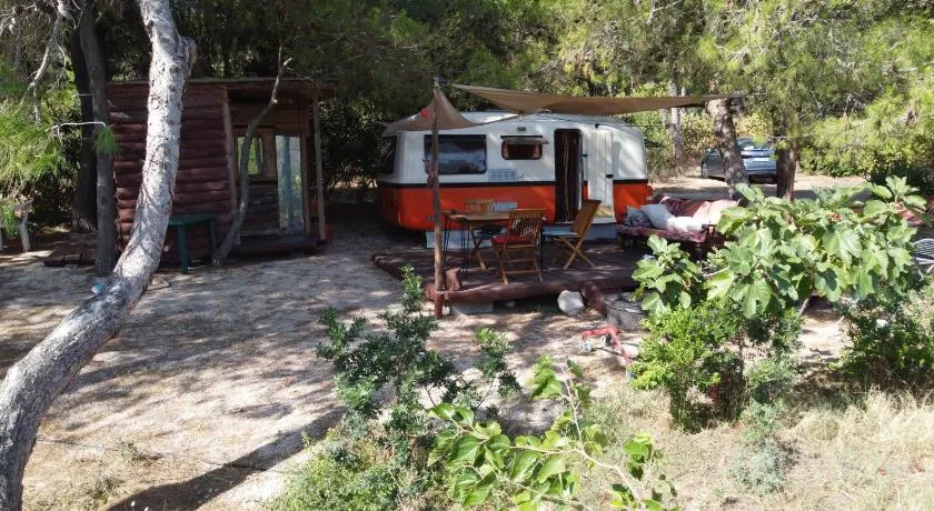 Roulotte Vintage con accesso spiaggia - Image 1
