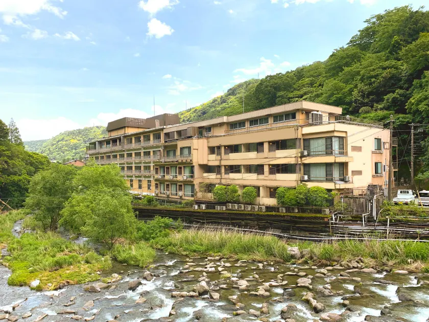 Hakone Pax Yoshino - Image 1