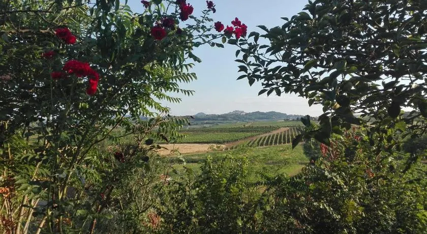 Agriturismo La Chiesina - Image 1