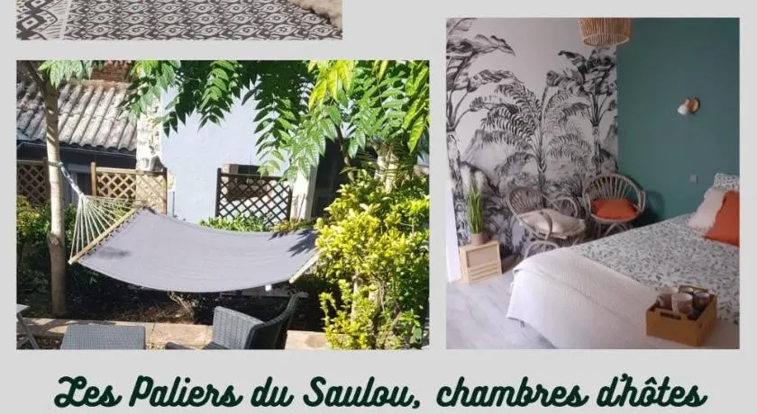 Les paliers du Saulou - Image 1