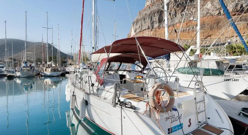 Une façon nouvelle et originale de voyager - \"Pato Lucas Sail Boat\" avec Wi-Fi - Image 1