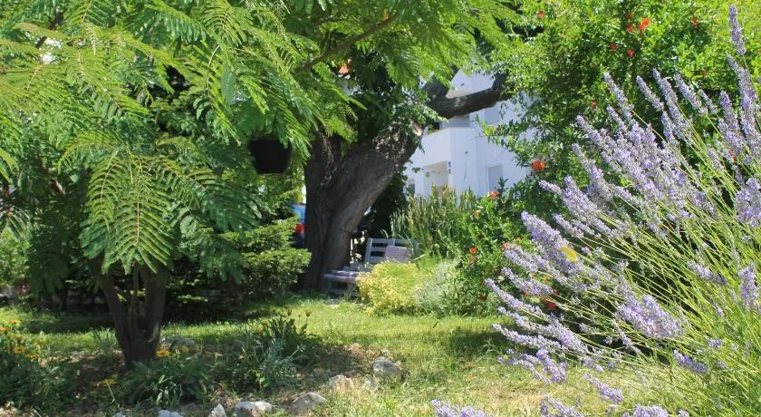 Apartments 501 - spacious and bright apartment on island of Rab - Image 1