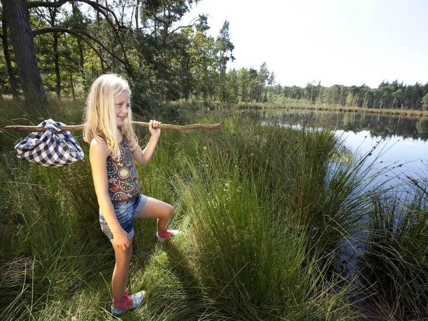 Forest Trails  Swimming Fun - Image 1