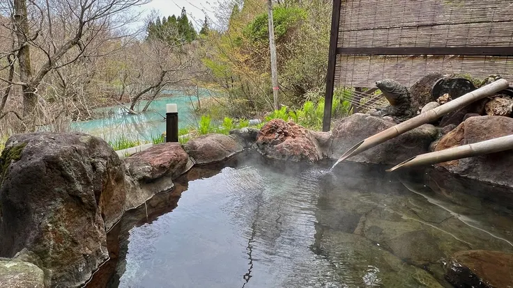 Sujiyu Onsen Kujyu Iyashi no Sato Hotel Dai Kogen - Image 1