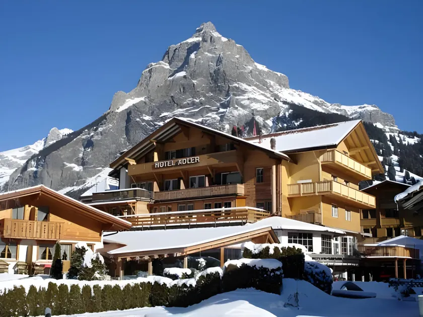 Chalet Hotel Adler - Image 1
