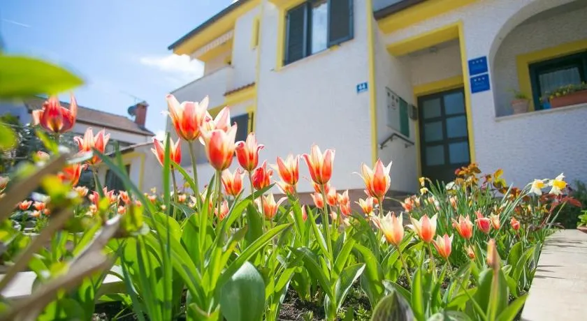 Apartments Matosevic - Image 1