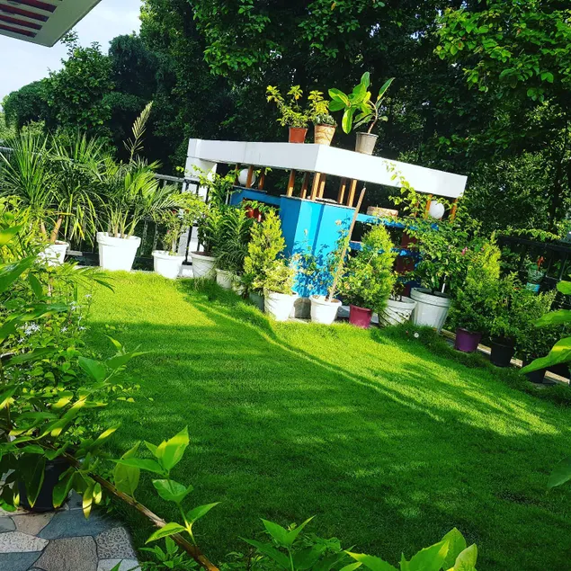Forest Inn Homestay - Image 1