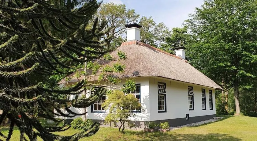 Midden in de Friese bossen op landgoed Princenhof - Image 1