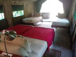 Zambezi Mubala Campsite - Image 1