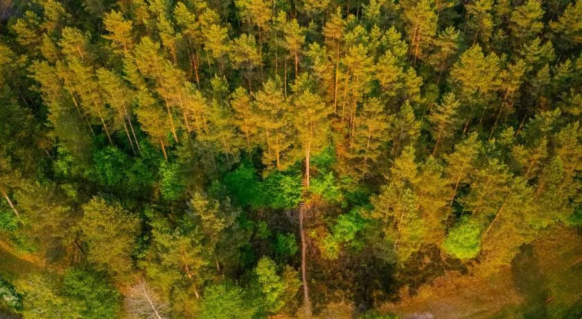 Las Apartamenty - z pomostem i prywatnym dostępem do jeziora - Image 1