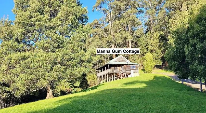 Tall Trees Eco Retreat - Image 1