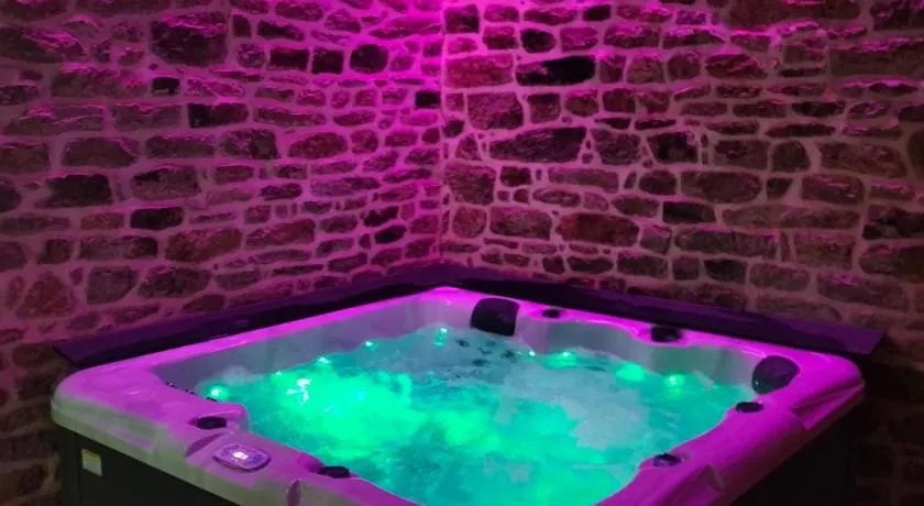 le jardin Médicis avec spa et sauna - Image 1