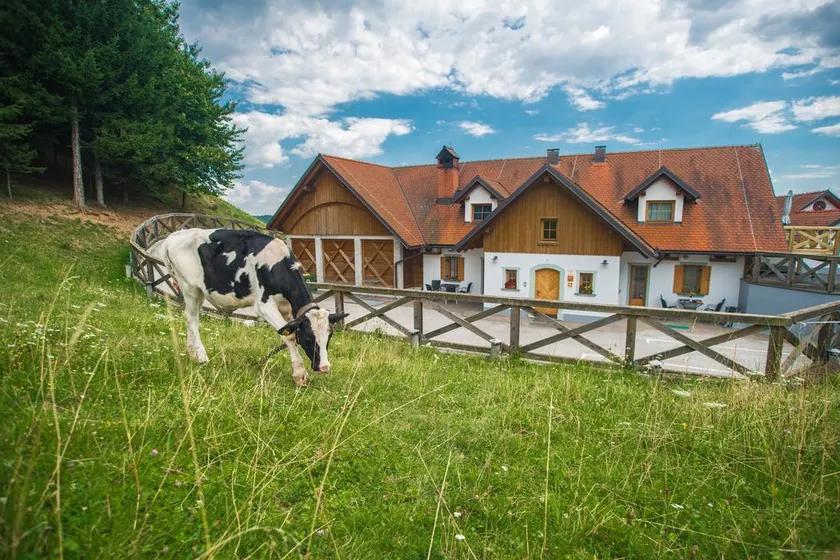 Lejligheder Tourist farm Matijovc - Image 1