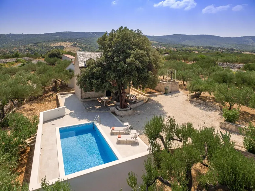Villa Dubrava - Heated Pool & Olive Grove Retreat I Brač Island - Image 1