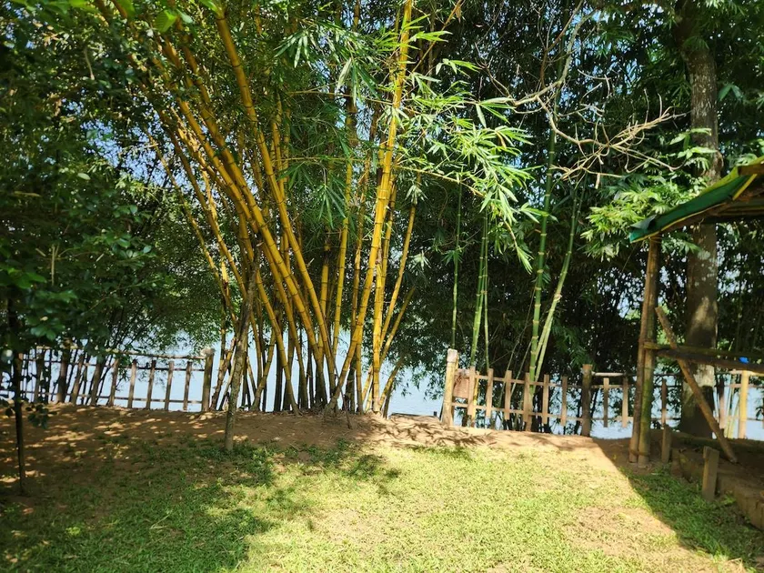 The Cove, ' the silent Symphony ' - Image 1