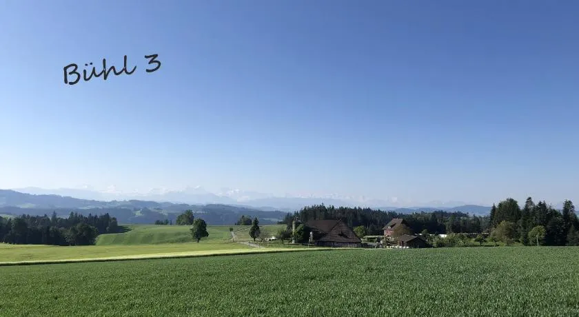 Bühl 3 - Image 1
