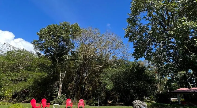 La Casa de los Patos - Image 1