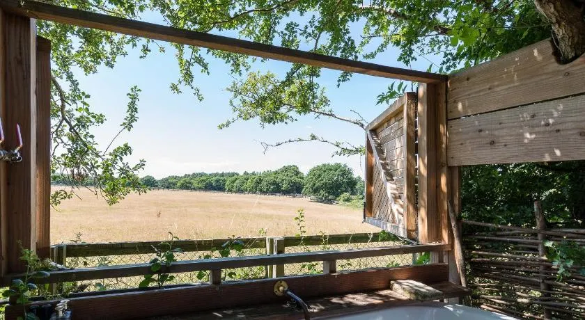 Cabin Westerlands - Image 1
