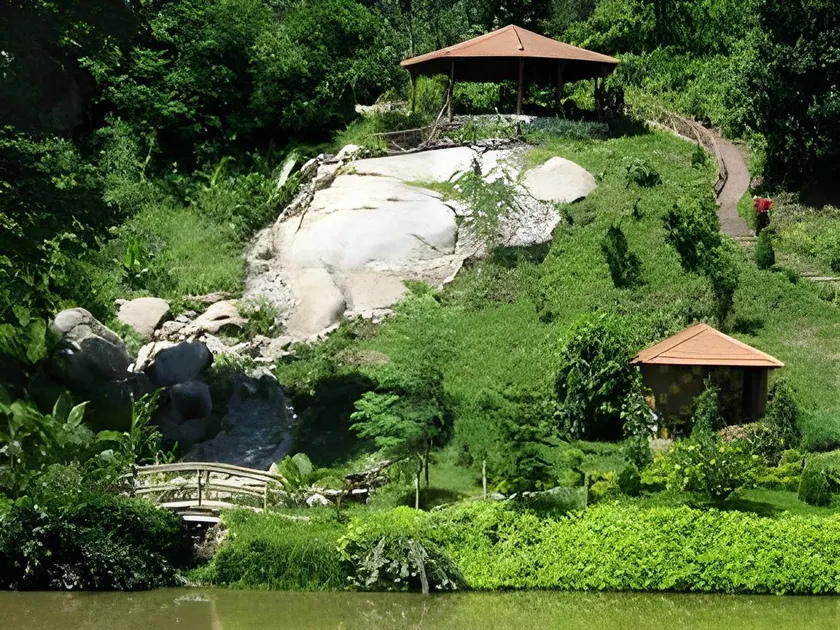 Brahmaputra Jungle Resort - Image 1