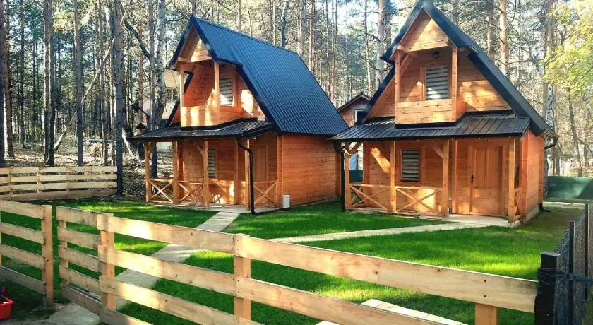 Brvnare Borove iglice - Image 1