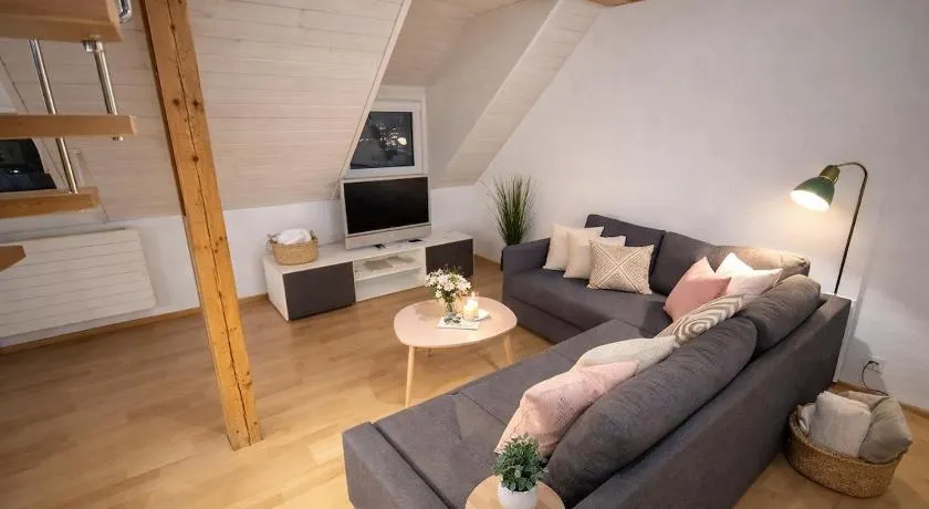 Charming attic duplex in Bern - Image 1