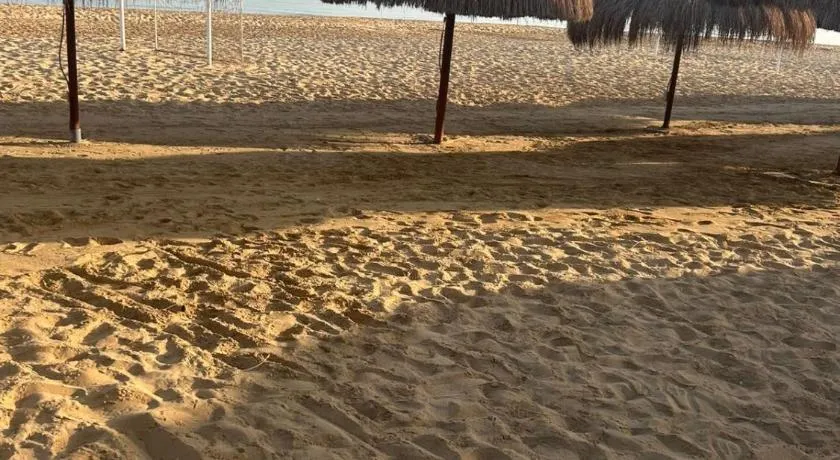 Laila Palm beach chalet - Image 1