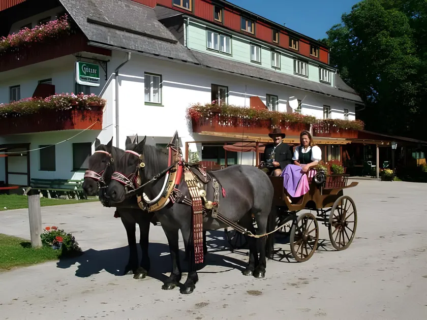 Pension Pürcherhof - Image 1