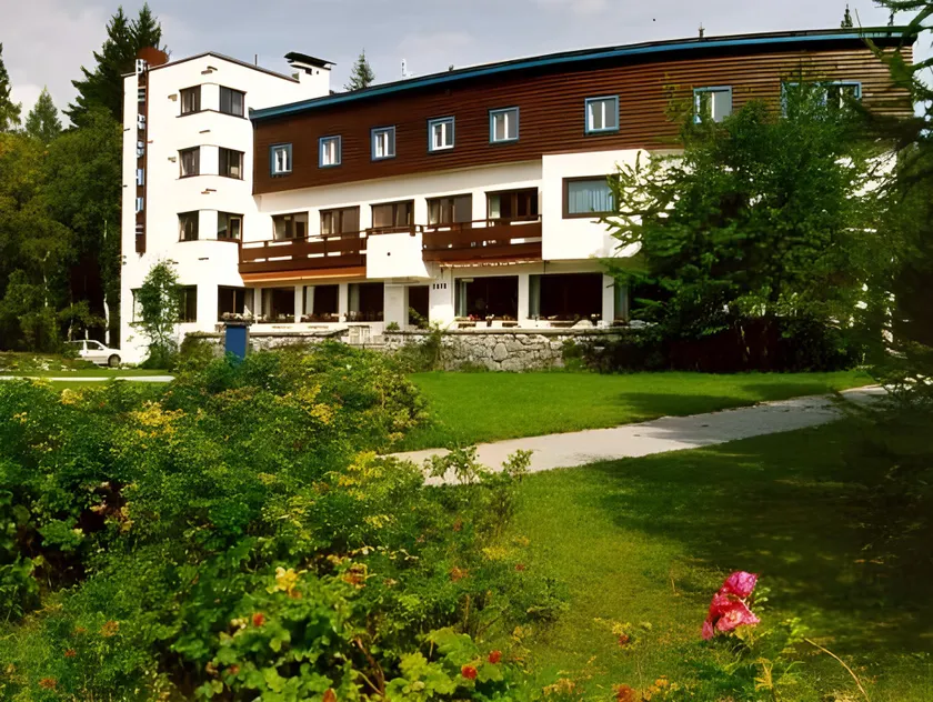 Hotel Berghof - Image 1