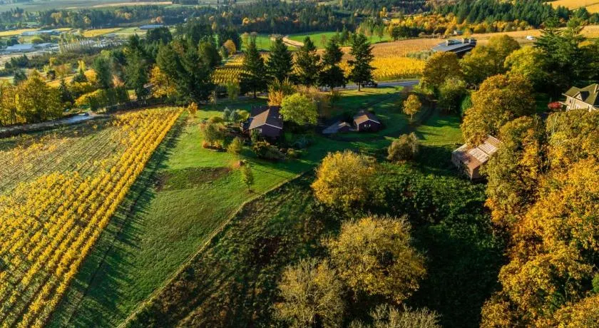Pinot Vista - Image 1