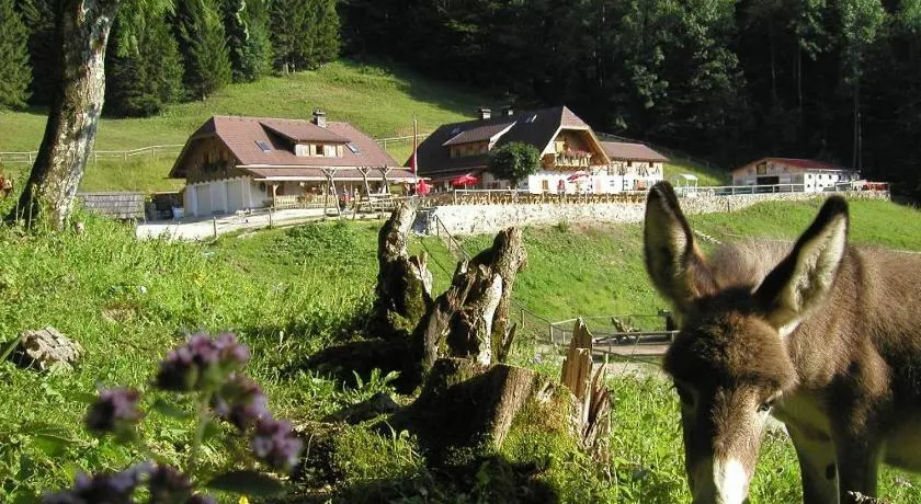 Ferienwohnung Hochsteinalm - Image 1