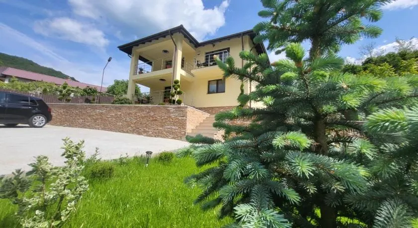 Noblesse Calimanesti - Image 1