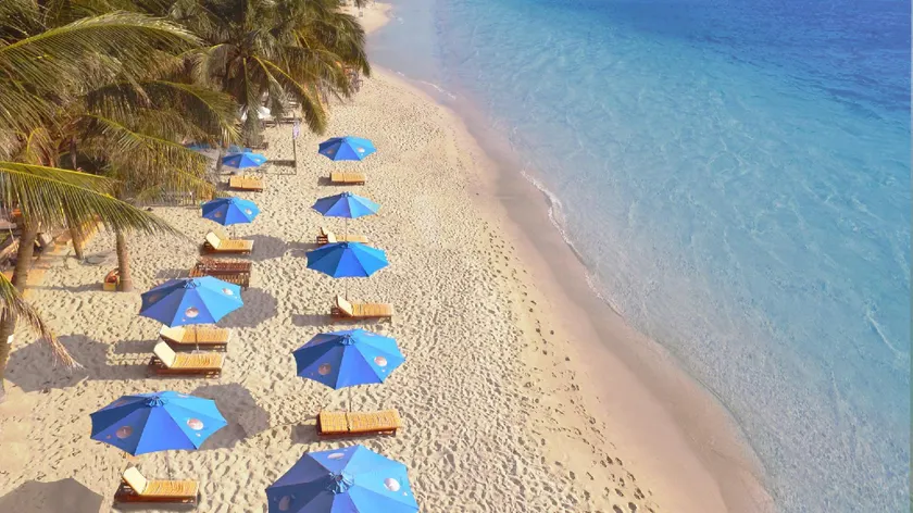 Orange Resort - Image 1