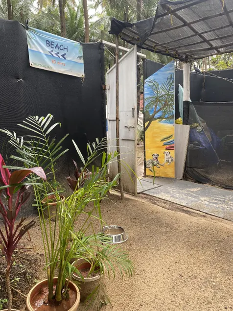 Tropical Bay - Image 1