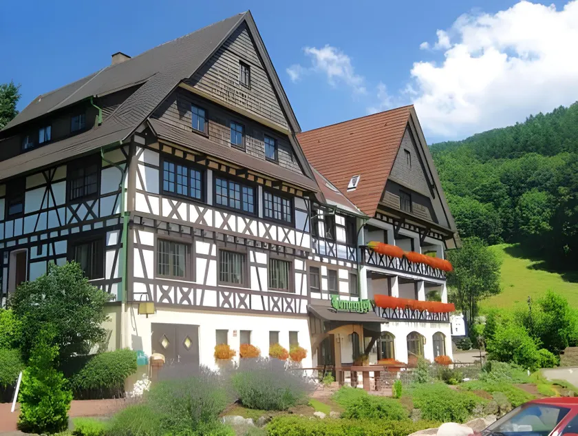 RelaxHotel Tannenhof - Image 1